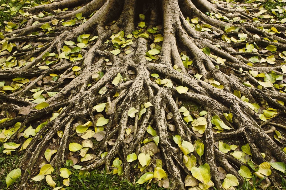 Ampliare lo sguardo per essere liberi