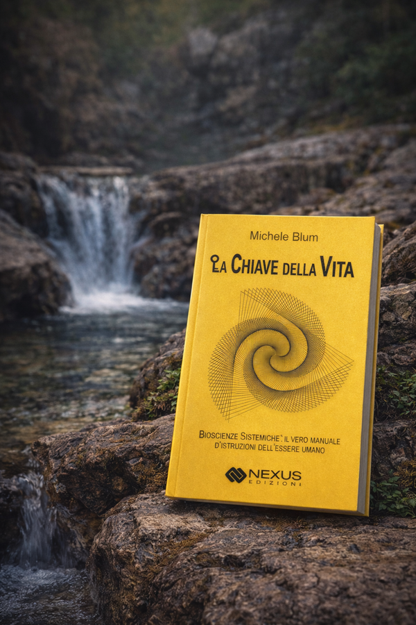 Nuovo webinar ed Evento: dalla teoria alla pratica